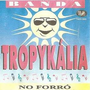 Capa CD Vol. 1 - No Forró - Forrozão Tropykália