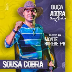 Baixar música Eu Não Vou.MP3 - Sousa Cobra & Banda Do Vaqueiro - Ao Vivo Em  Monte Horebe - PB - Musio