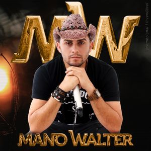 Capa Música Eu Vou Pra Vaqueijada - Mano Walter
