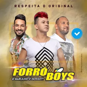 Capa CD Volume 8 - Forró Boys