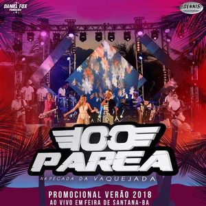 Capa Música Vivendo Por Viver. Feat. Naldinho Barros - Banda 100 Parêa