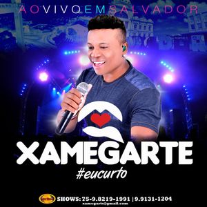 Capa CD Volume 11 - Xamegarte