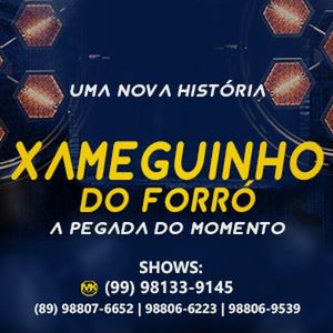 Capa CD Promocional Novembro 2019 - Xameguinho do Forró