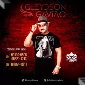 Capa Música Forró e Vaquejada. Feat. Xand Avião - Gleydson Gavião