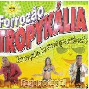 Capa CD Vol. 9 - Fogo No Fogo - Forrozão Tropykália