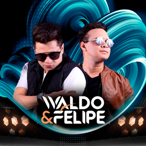 Capa Música É Bom Demais Junior - Waldo & Felipe