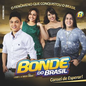 Capa Música Te Amo de Verdade - Bonde do Brasil