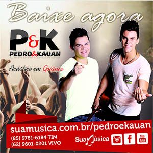 Capa Música Coração Dividido - Pedro & Kauan