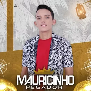Capa Música Boyzinho do Morro - Mauricinho Pegador