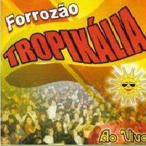 Capa CD Vol. 4 - Ao Vivo I - Forrozão Tropykália