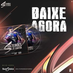 Capa CD Promocional Fevereiro 2017 - Solteirões do Forró