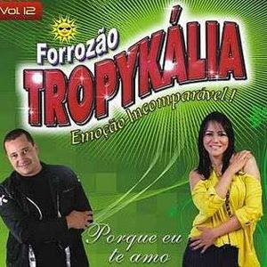 Capa Música Alta Madrugada - Forrozão Tropykália